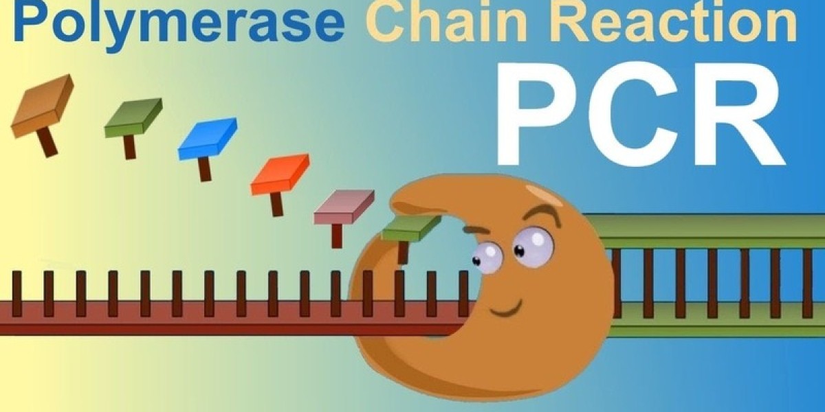 How PCR Technology is Shaping Clinical Diagnostics and Disease Research