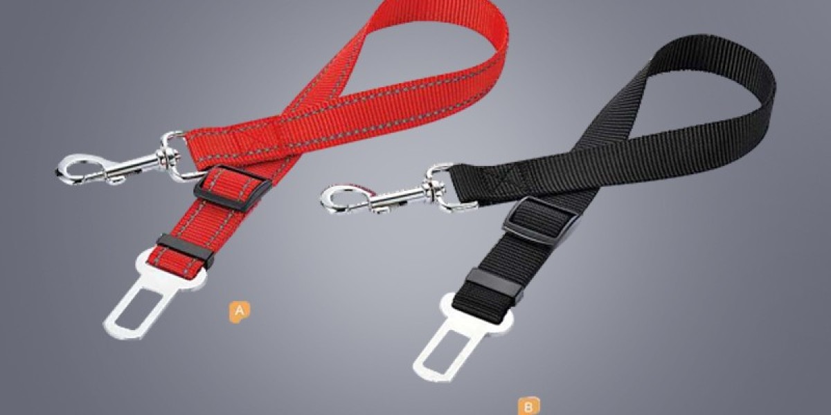 Outdoor Dog PP Collar: Exclusive Outdoor Equipment for Dogs