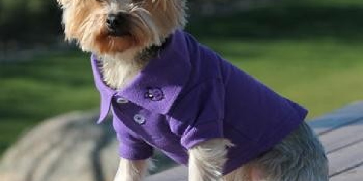 The Ultimate Guide to Dog Polos | Fashion Meets Function for Your Furry Friend