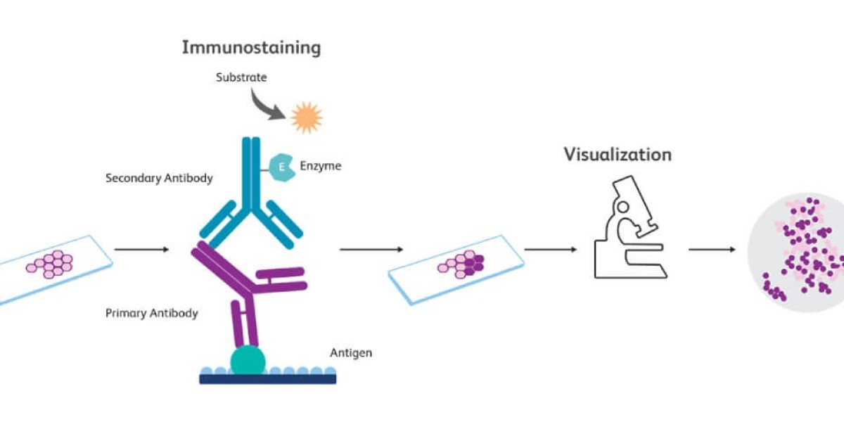 Immunohistochemistry Market Growth and Industry Forecast Report 2034