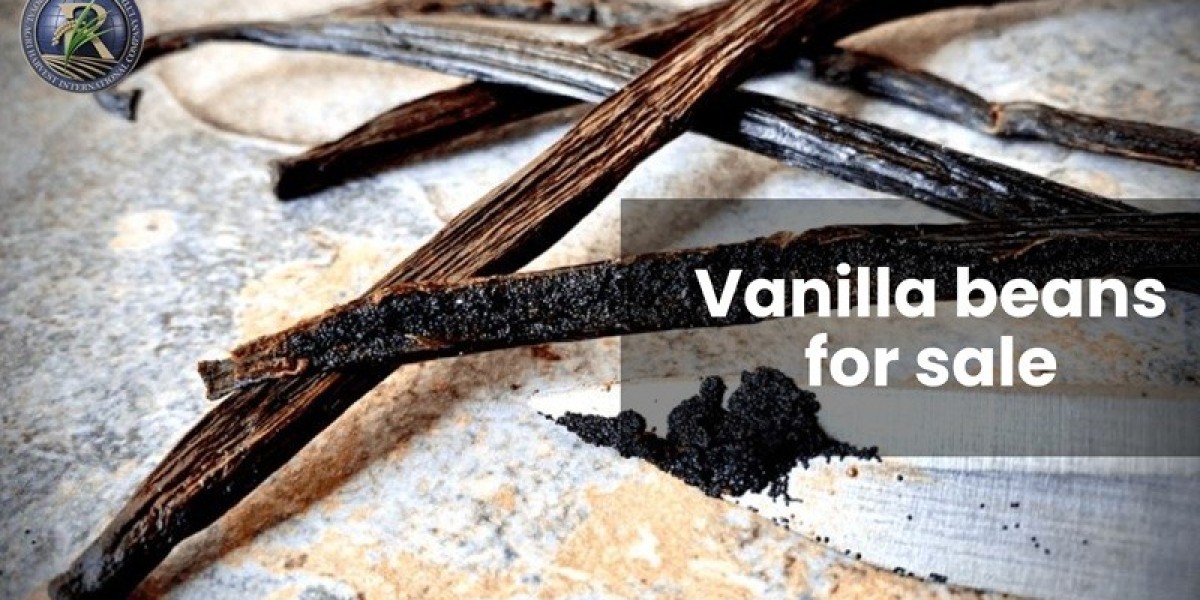 Premium Vanilla Beans for Sale: Discover the Royal Agri Difference