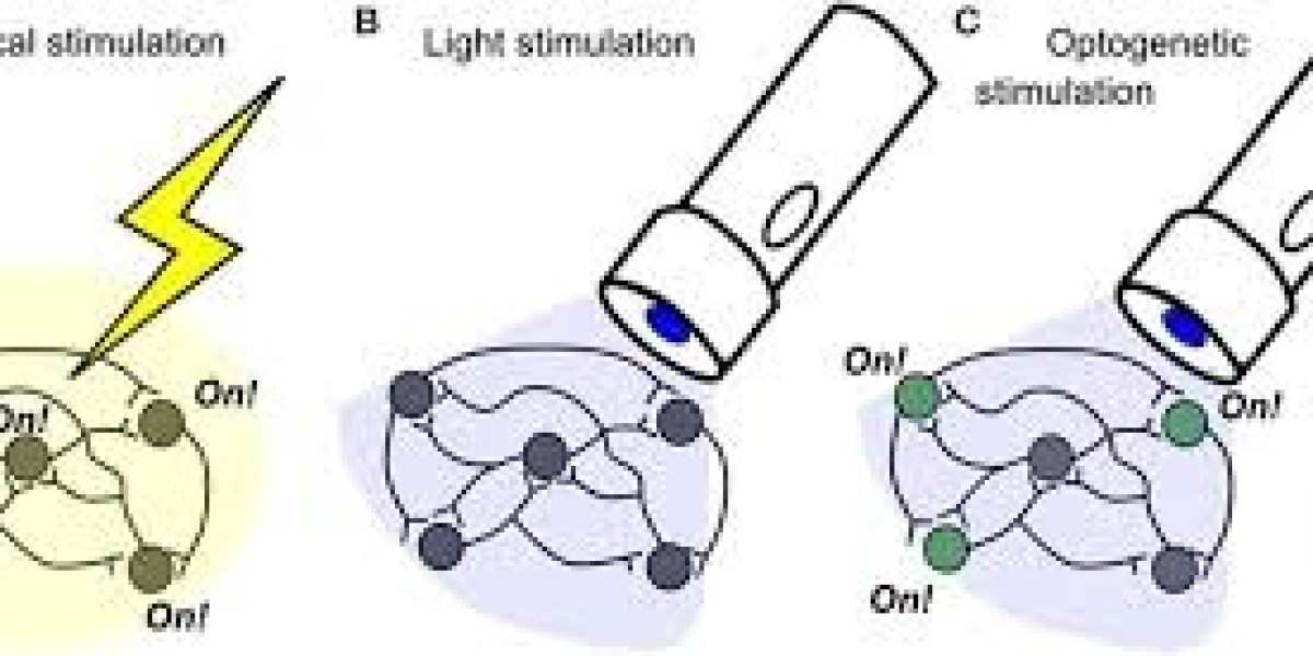 Optogenetics: A Revolutionary Approach to Neuroscience