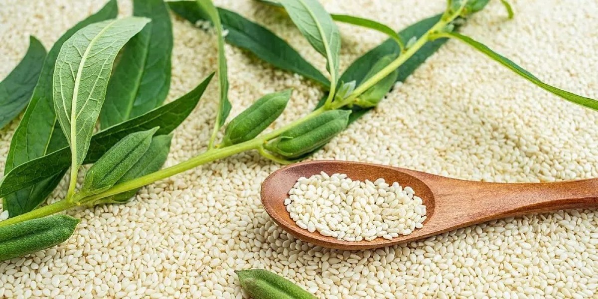 Exploring the Global Sesame Seeds Market: Trends, Growth, and Opportunities