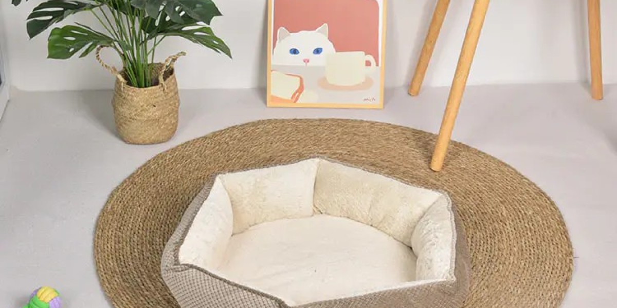 Hexagonal Haven: The Comfort for Furry Friend