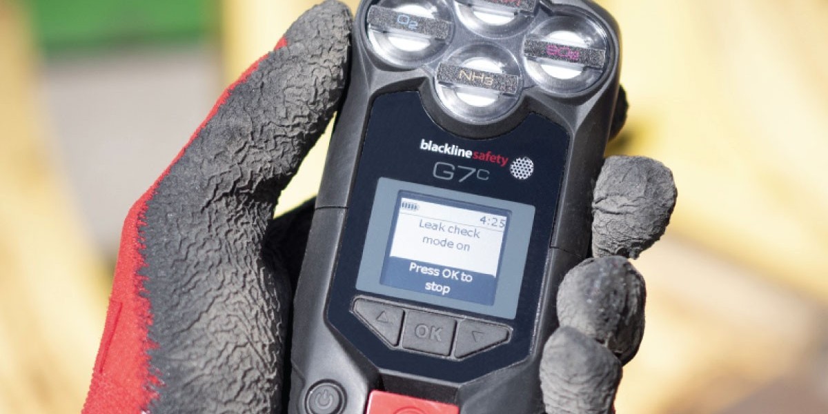 How the Civilian Grade Combustible Gas Detector Market is Evolving: Trends and Innovations