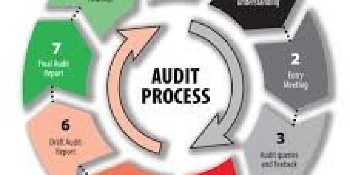 The Audit Process: Ensuring Accuracy and Transparency