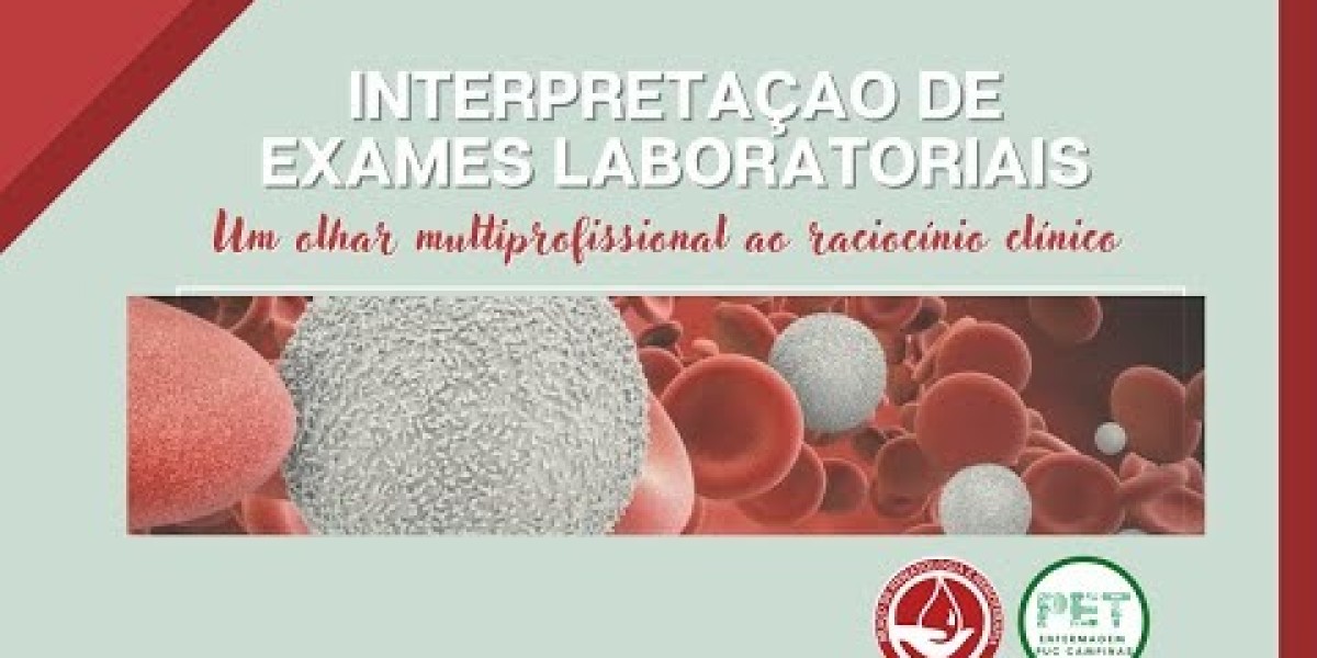 Cuidado Veterinário em SP: Encontre Laboratórios de Confiança ao Seu Redor