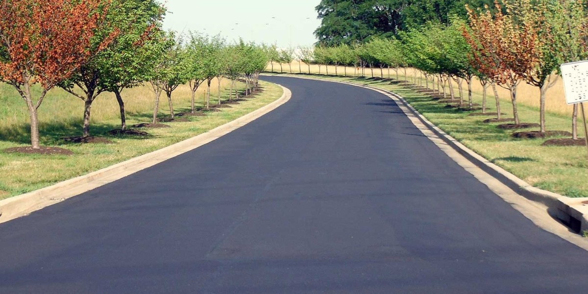 Crafting the Pathway to Home Role of Driveway Paving Contractors