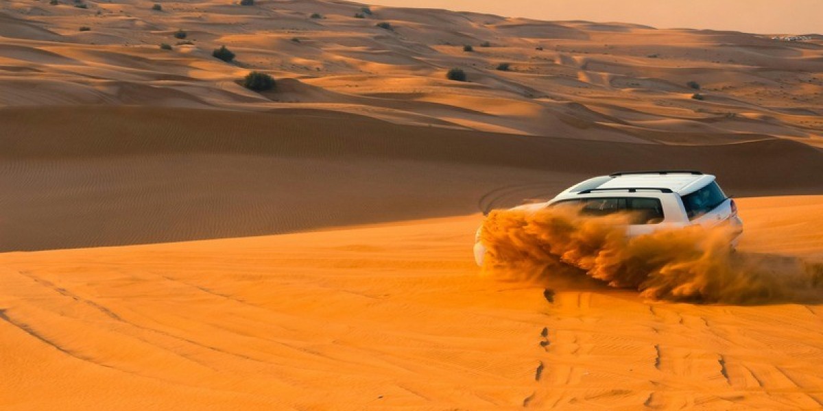 8 Best Activities to Experience in Abu Dhabi