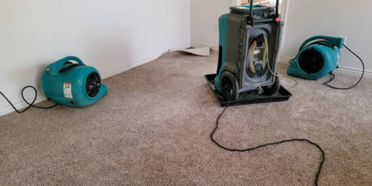 Comprehensive Guide to Water Damage Restoration in Seattle