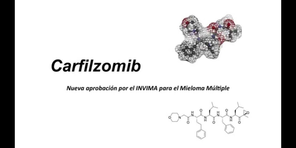 Carfilzomib Market 2024-2034: Global Analysis by Cancer Type, Treatment & Distribution Channels