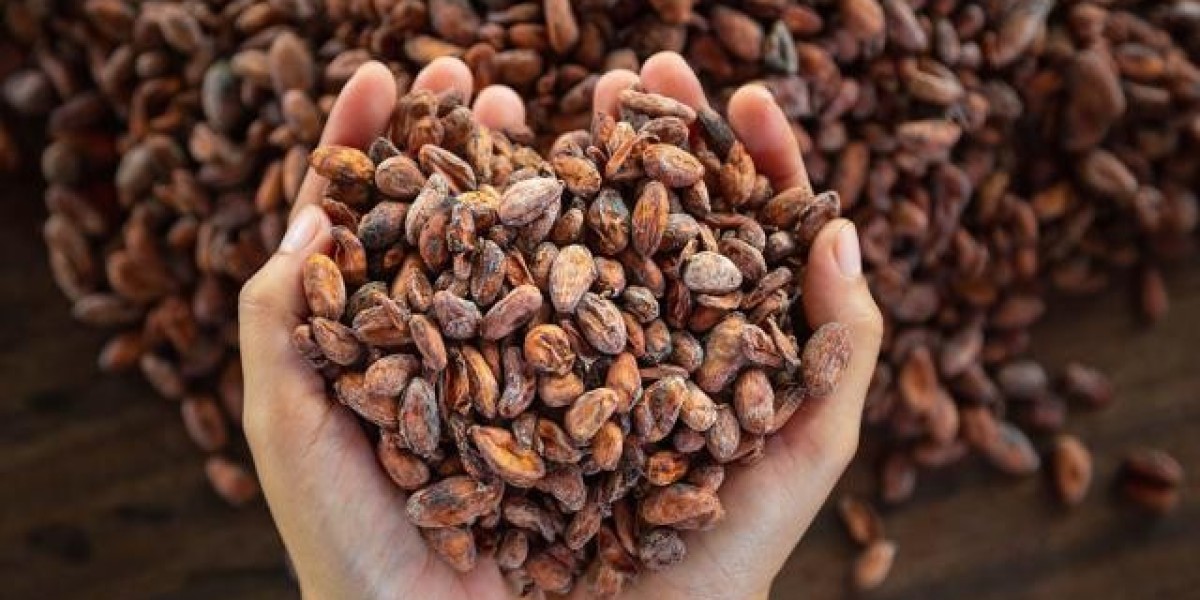 How the Demand for Chocolate is Driving Growth in the Cocoa Market