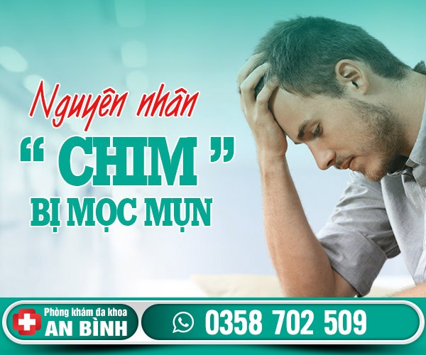 Bị mọc mụn ở chim có nguy hiểm không?