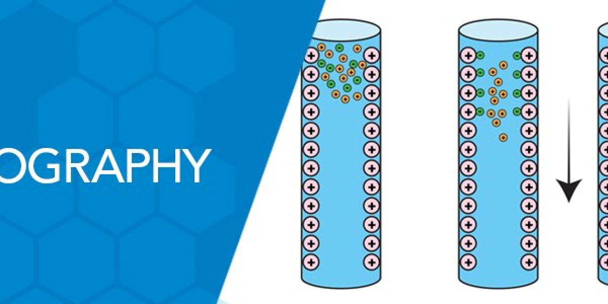 Top Regional Markets Driving Ion Chromatography Growth