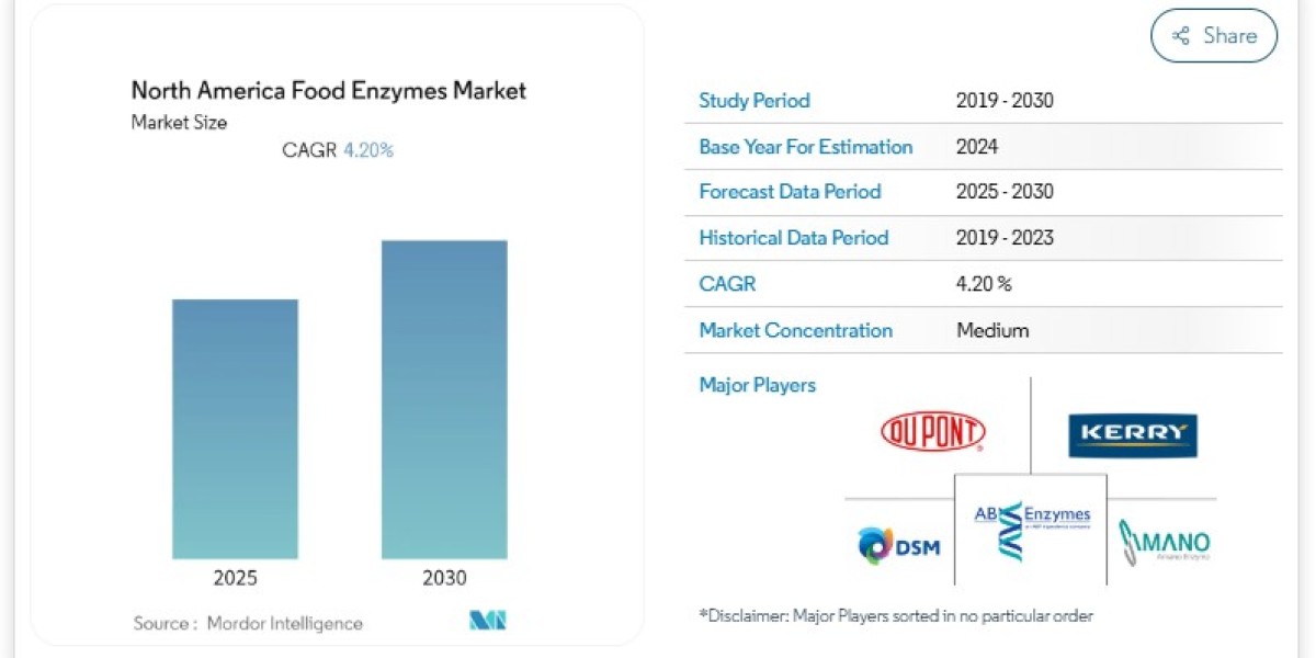 North America Food Enzymes Market: Growth Driven by Innovations in Food Processing