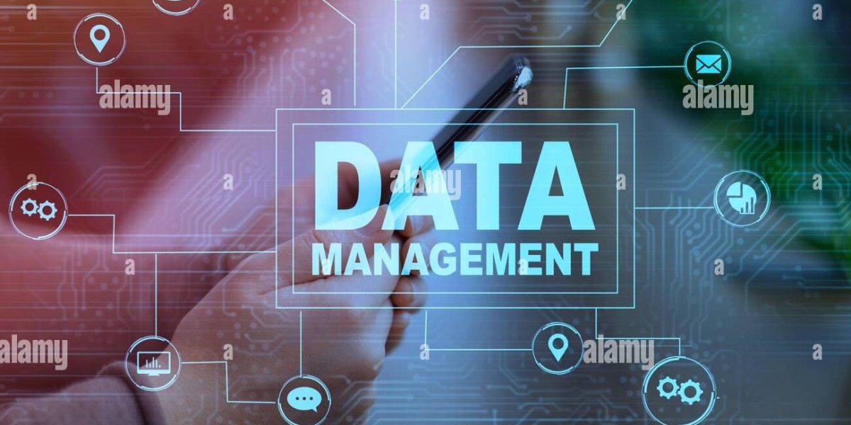 Mastering Data Management at Clinfinite Solutions