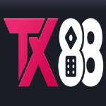 tx88investment