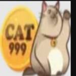 cat999 kim