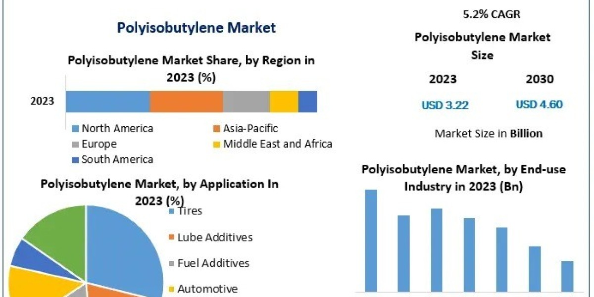 Polyisobutylene Sector Future: Strategic Insights for Market Stakeholders