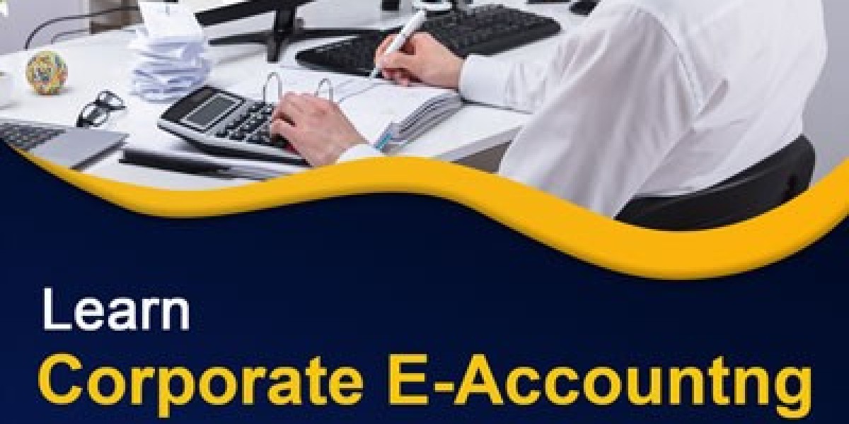 Upgrade Your Accounting Knowledge with E Accounting Training