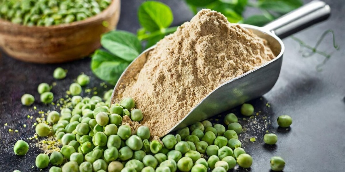 Navigating the Pea Protein Market: Opportunities and Challenges for Food Manufacturers