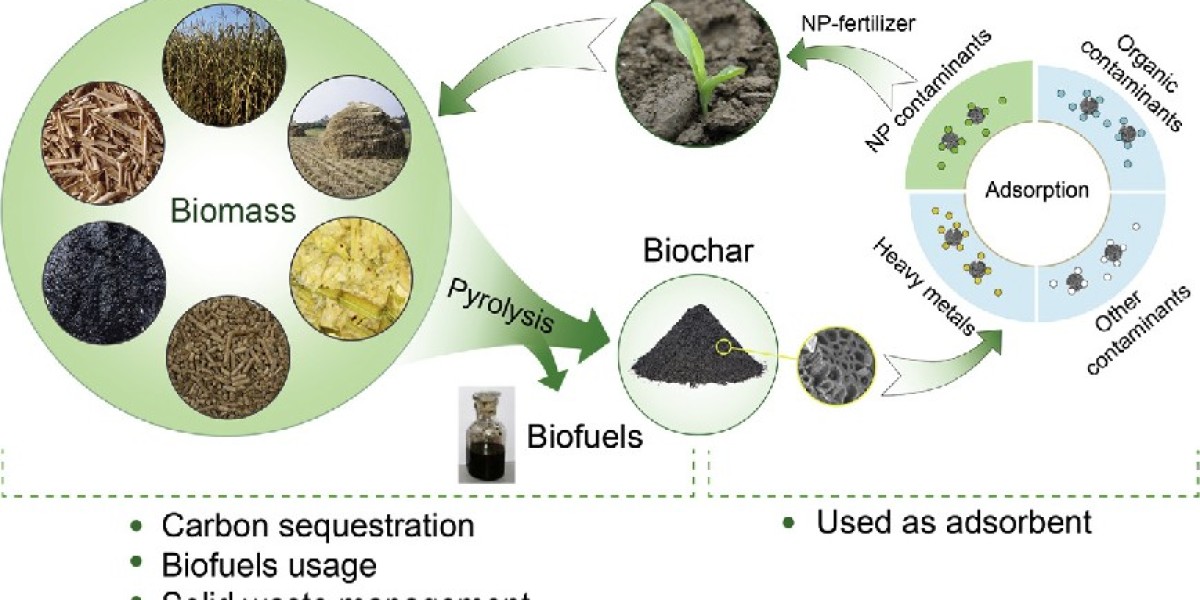 Biochar Market Share, Size, Type, Demand, Overview Analysis, Trends, Opportunities, Key Growth, Development and Forecast