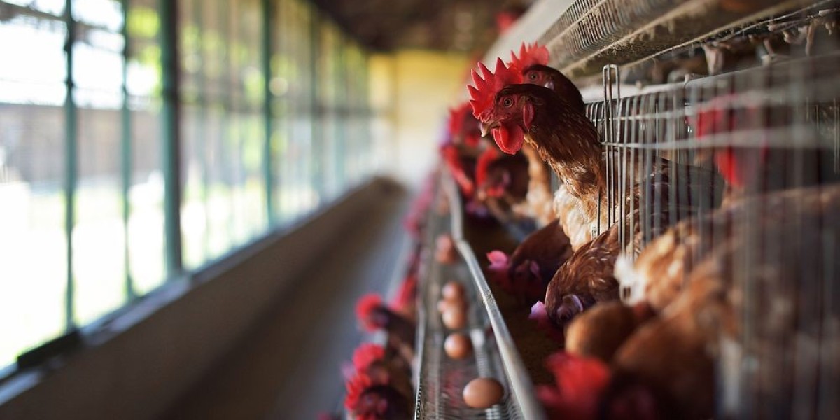 Global Poultry Farming Equipment Market Size, Share, Analysis and Forecast 2023-2033