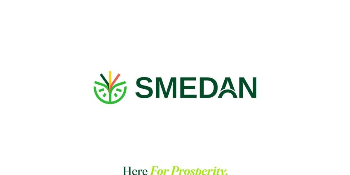 SMEDAN Unveils N1 Billion Grant Plan for 2025: Boosting Economic Growth and Supporting Businesses Nationwide