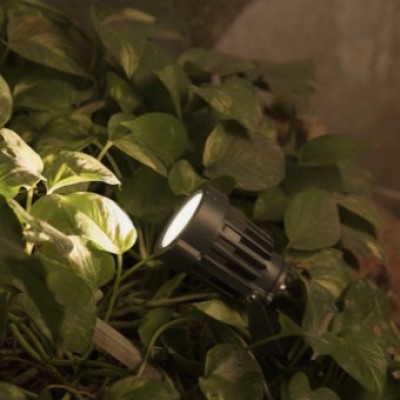 Premium Wall Lights for a Stunning Garden Profile Picture