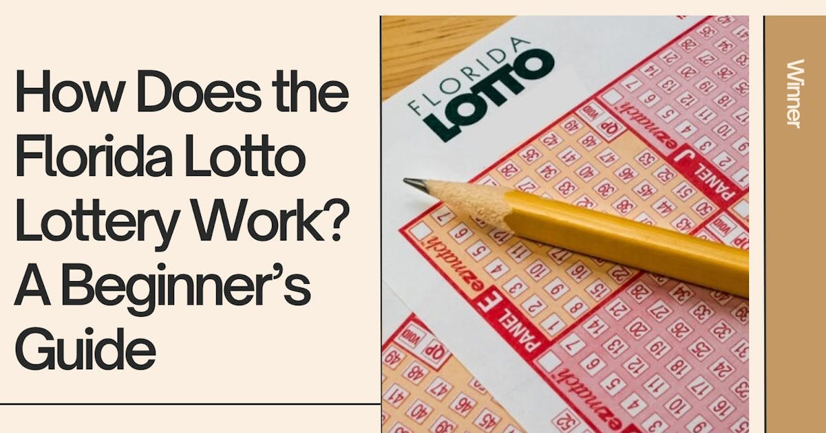 How Does the Florida Lotto Lottery Work? A Beginner’s Guide