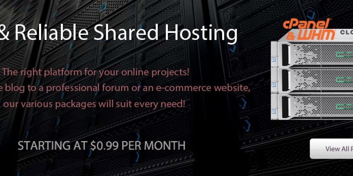 Reliable Web Hosting Services | Affordable & Secure Hosting at RHC Hosting