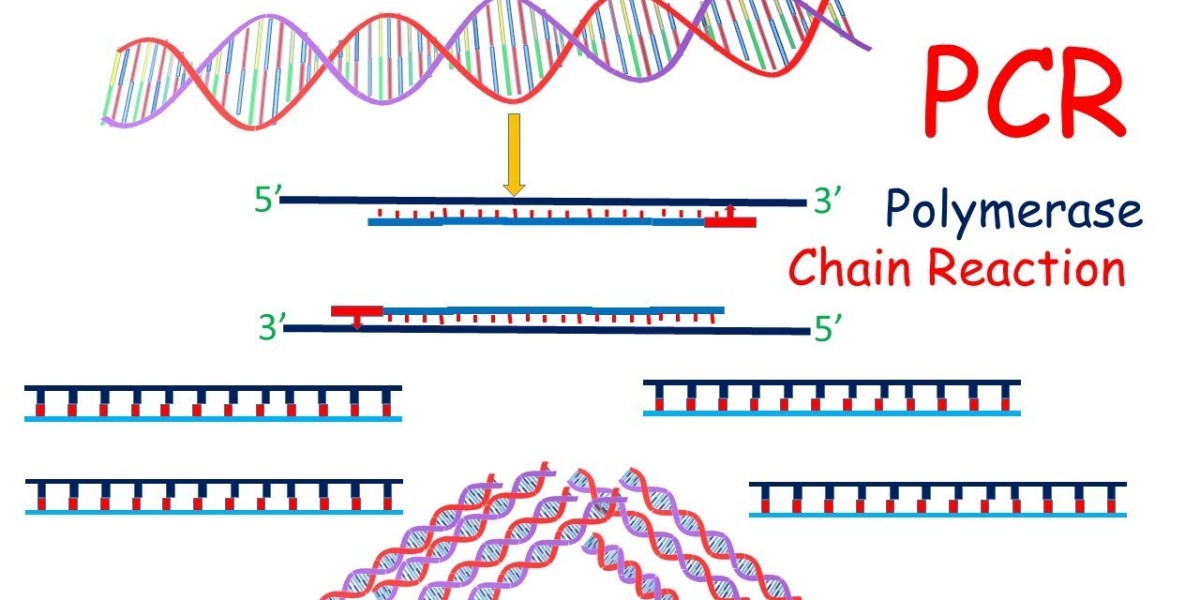 Top Trends Driving Growth in the PCR Technologies Market