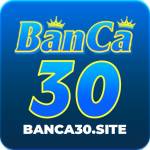 Banca30 site