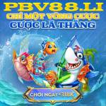 Nha Cai Pbv88