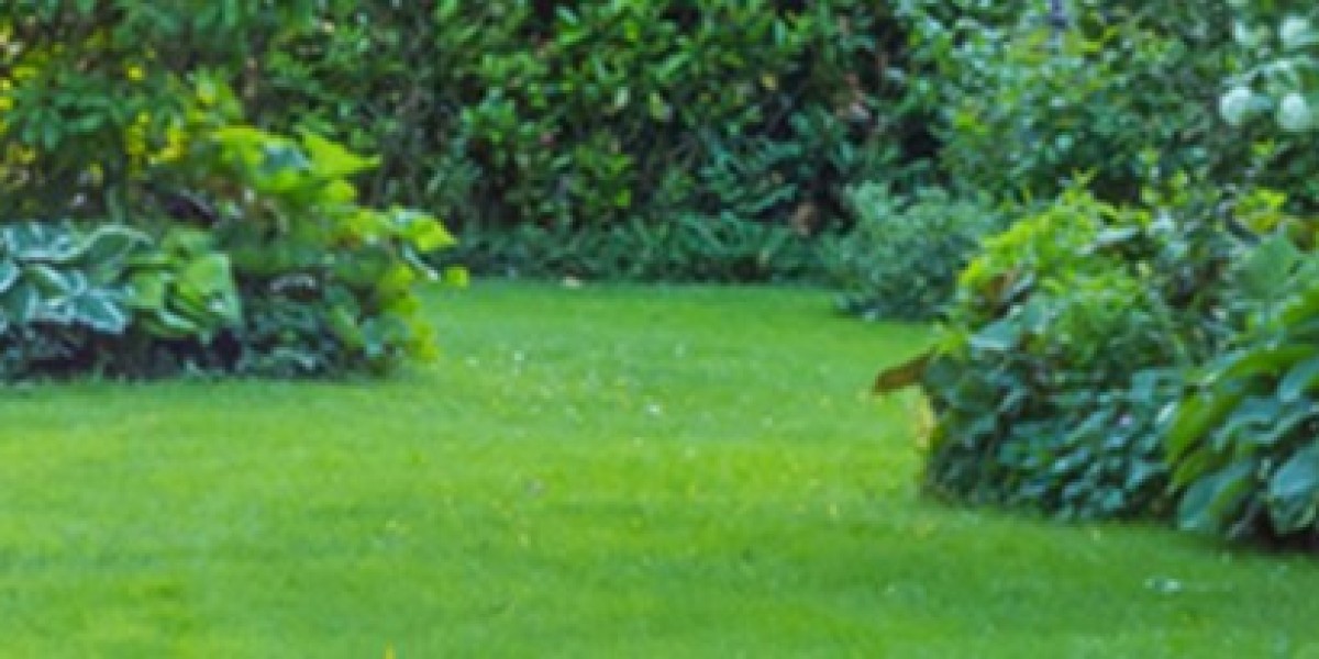 Expert Commercial Lawn Mowing for a Pristine Landscape