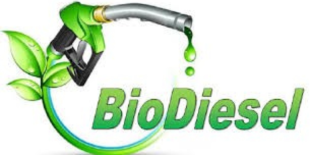 Biodiesel Startups Disrupting the Fuel Industry