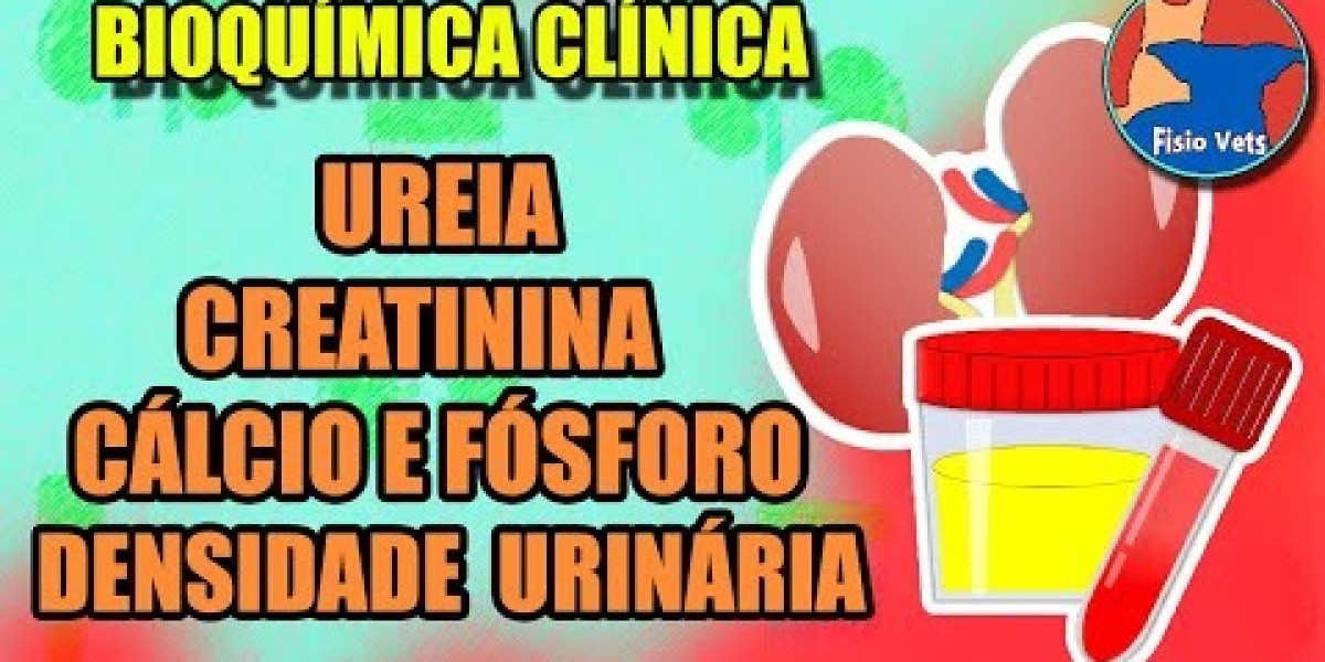 Cuidados que Fazem a Diferença: A Importância de Consultas Veterinárias para o Seu Pet