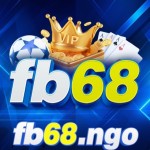 FB68 ngo