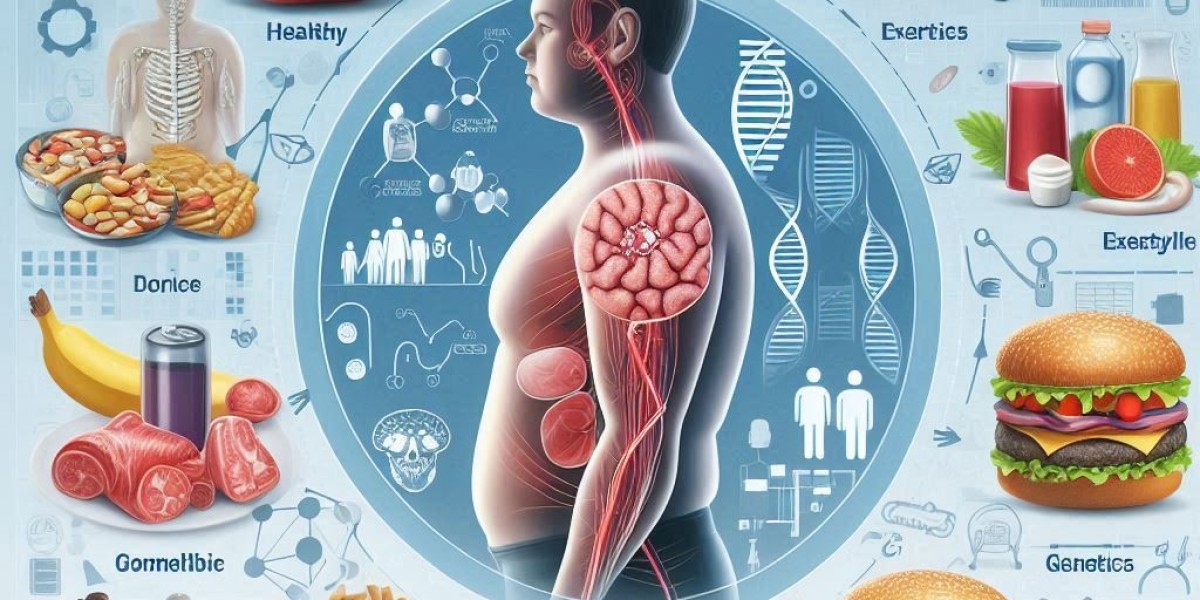 What Causes Obesity? Understanding the Key Factors