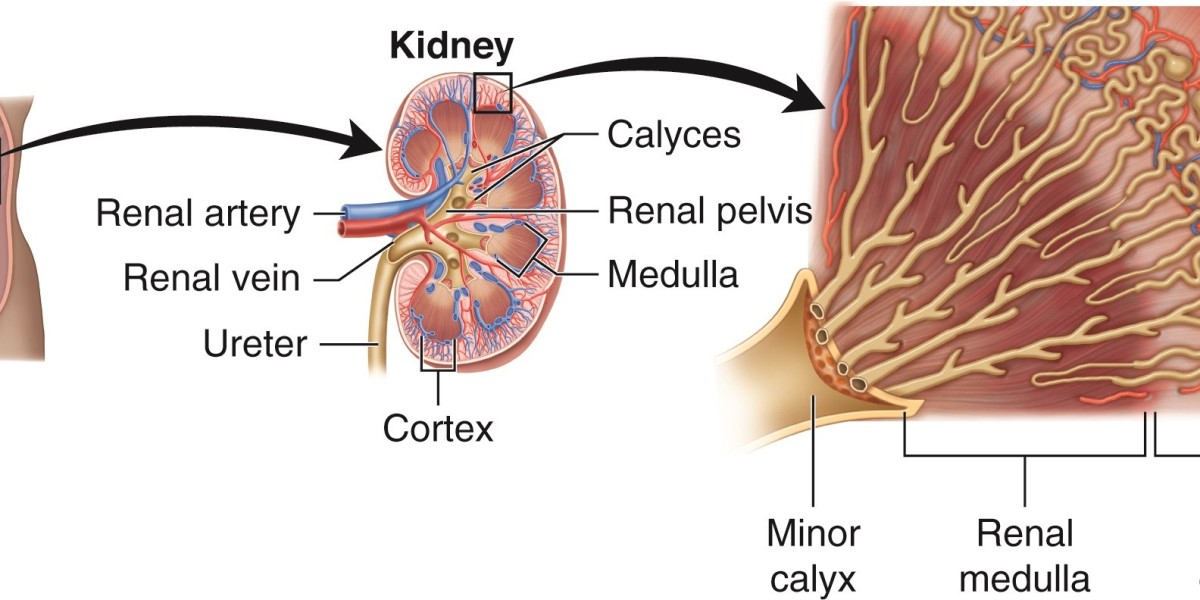 JARDIANCE’s FDA Approval for CKD: What It Means for Patients