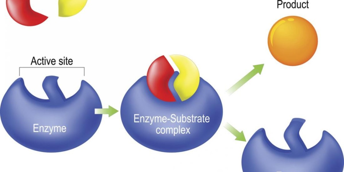 Microbial Enzymes Leading the Market: What’s Driving the Shift?