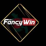 fancywin tech