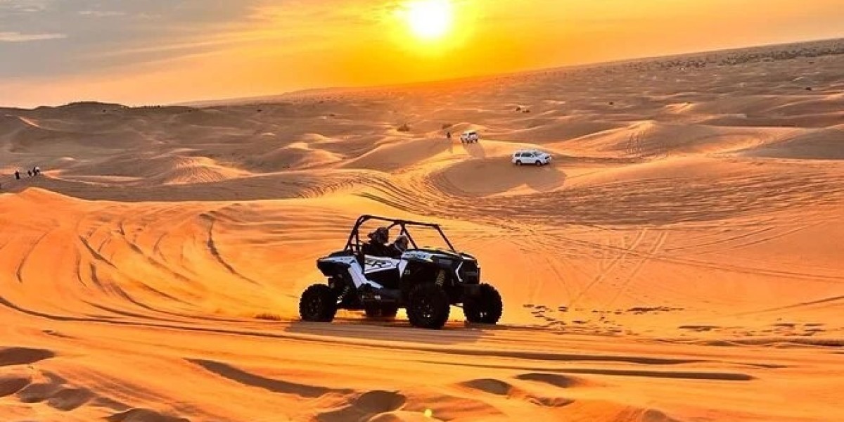 Experience the Thrill of a Morning Desert Safari in Dubai