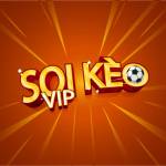 Soikeo VIP