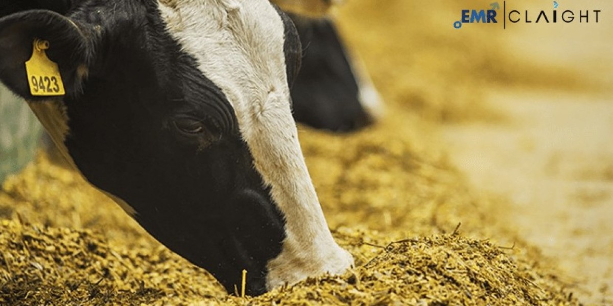 Germany Animal Feed Market Size: Industry Trends and Growth Report 2034