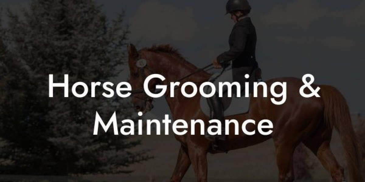 Horse Maintenance: Expert Tips for Grooming & Equine Health