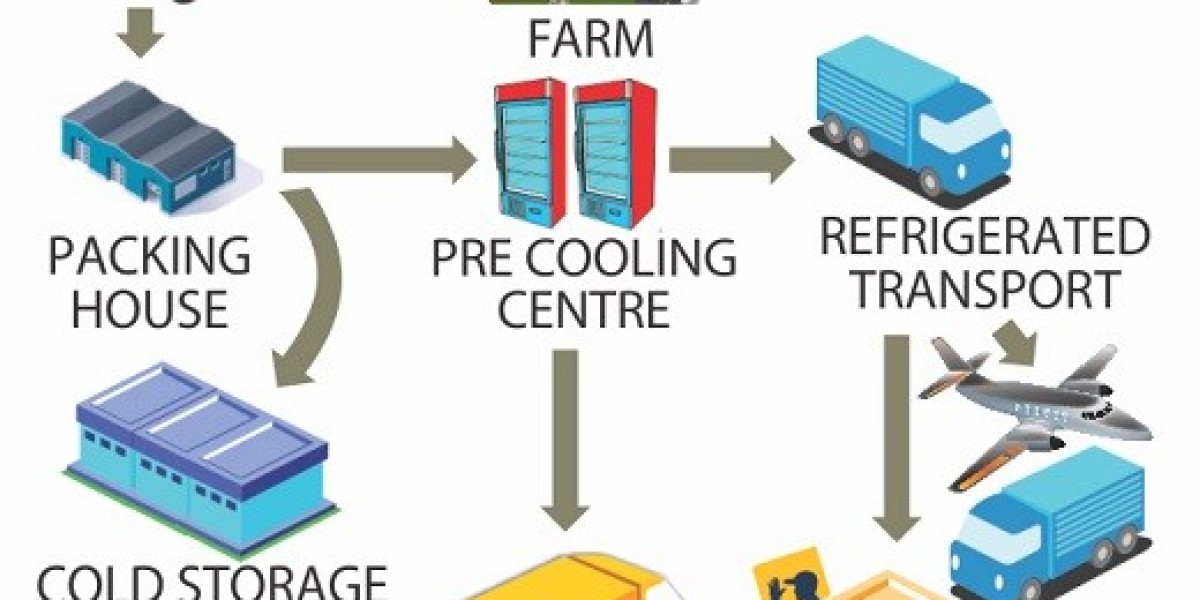 Interstate Warehousing & VersaCold Logistics: Key Players in Cold Chain Growth