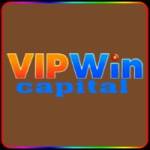 vipwin capital