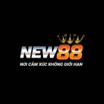 Nhà cái NEW88