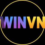 WINVN credit